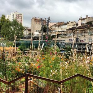 10712986_10152302461107204_4094483908465098055_n