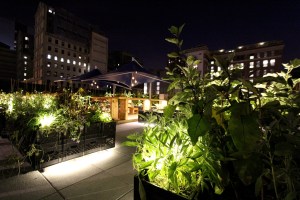 Riverpark farm_Night